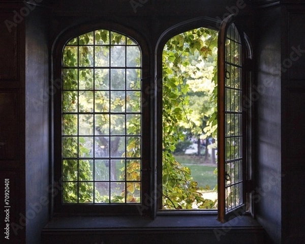 Obraz Windows uniwersytecki