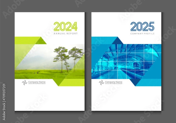 Fototapeta Cover design annual report business catalog company profile brochure magazine flyer booklet poster banner. A4 template design element cover vector. Sample image create with gradient mesh tool.
