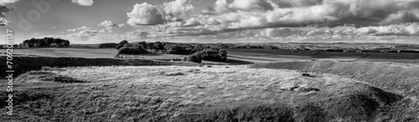 Obraz Arbor Low Stone Circle b&w