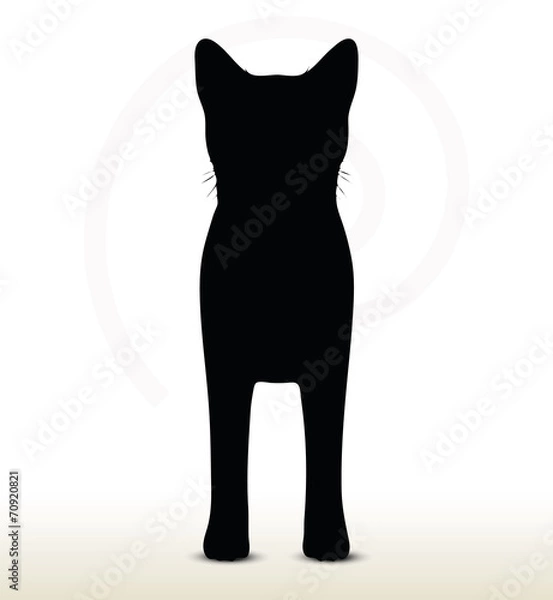 Fototapeta cat silhouette