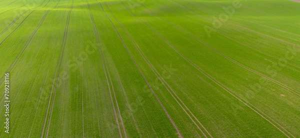 Fototapeta Green farmland.