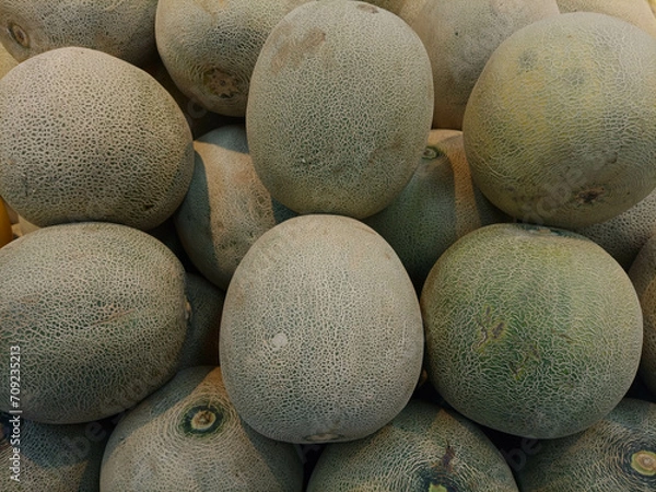 Obraz Melon fruit is whitish green