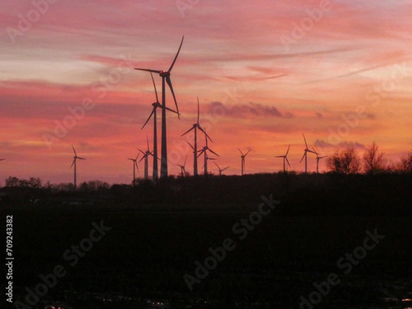 Obraz several windmills in the sunset
