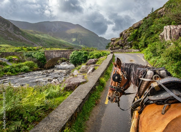 Obraz Gap of Dunloe with a horse