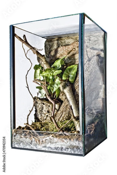 Fototapeta Terrarium