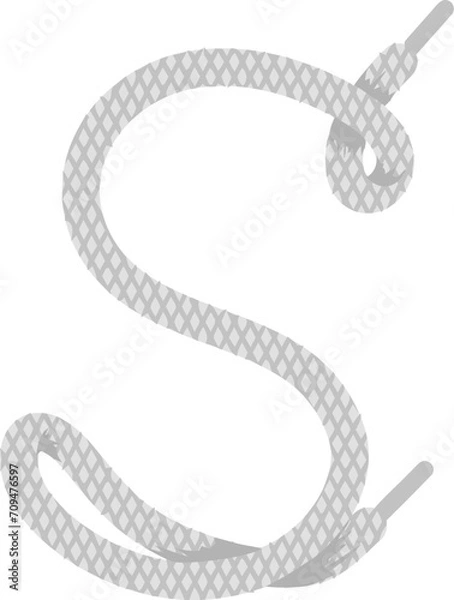 Obraz Shoelace Knot Letter S