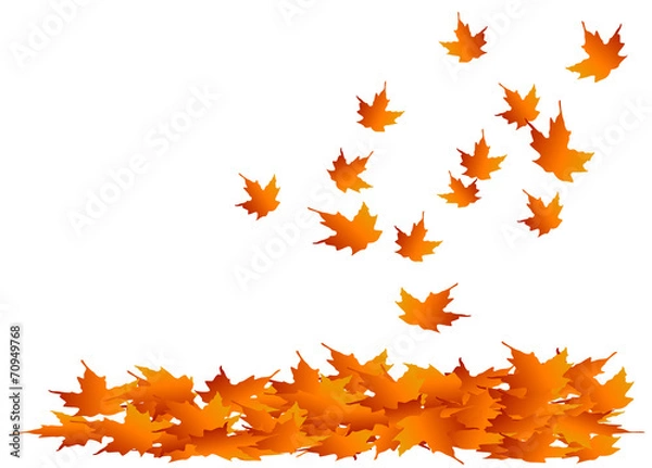 Fototapeta Autumn Maple Leaves