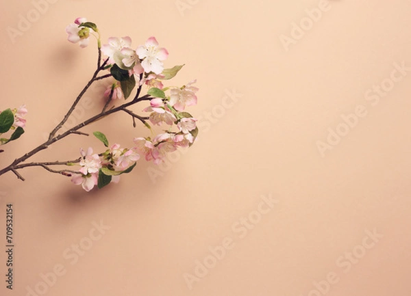 Obraz pink cherry blossom