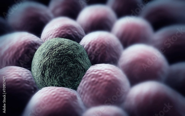 Fototapeta cancer cell