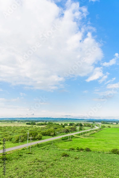 Obraz 大自然の香り　サロベツ原野を望む
