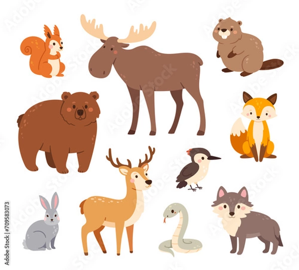 Fototapeta Woodland animals. Cute forest bear, fox and hare, wolf and deer, badger and squirrel, elk and woodpecker, beaver and snake. Happy funny animal vector characters