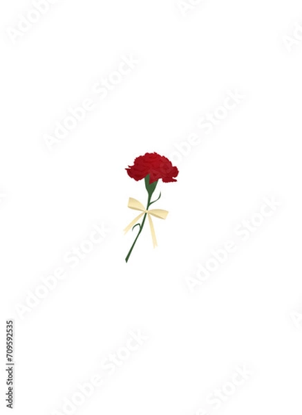 Obraz 母の日のカーネーション