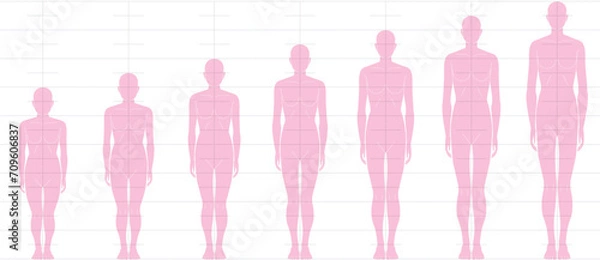 Obraz 前から見た人間の身長バランス。
6頭身7頭身8頭身9頭身の
女性体形のイラスト