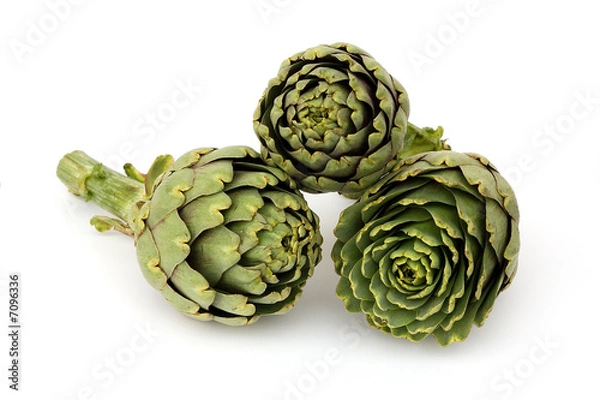 Obraz carciofo 3