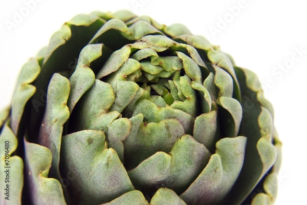 Obraz carciofo