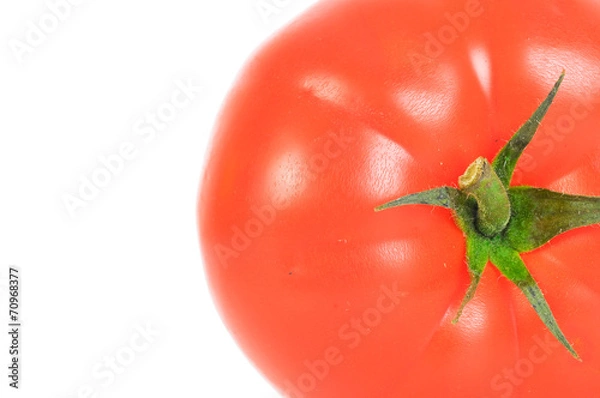 Fototapeta Tomate Makro