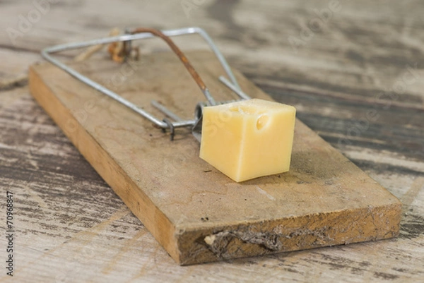 Fototapeta Mousetrap 2