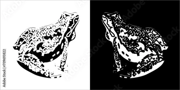 Fototapeta Illustration vector graphics of frog icon