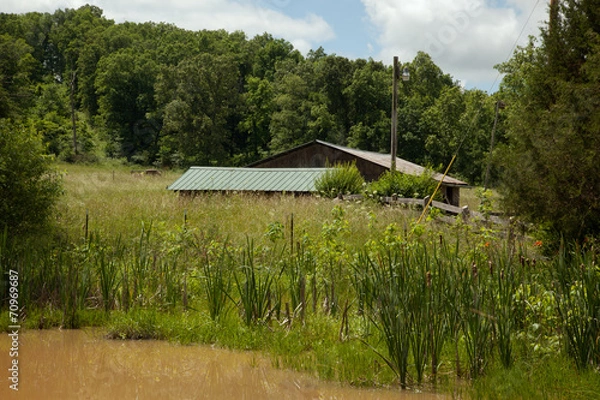 Fototapeta Rural Landscape