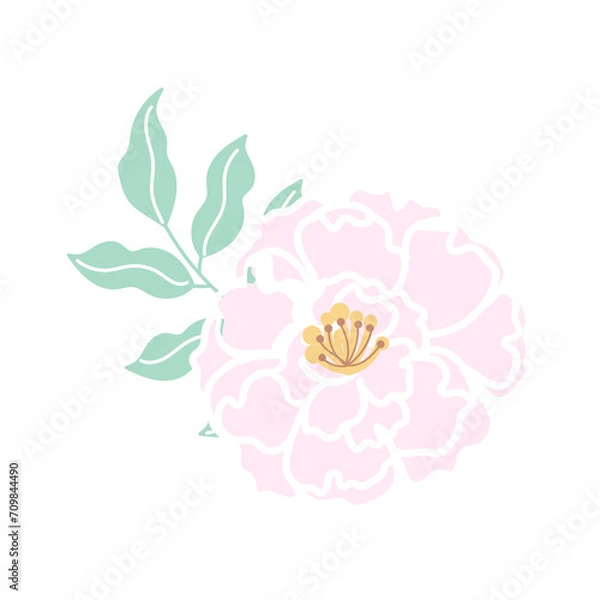 Obraz Floral Groupings