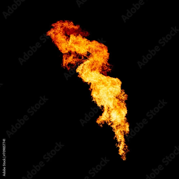 Obraz Bright isolated fire, flame feather, olympic games