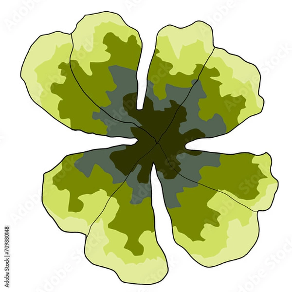 Obraz green tree with leaves