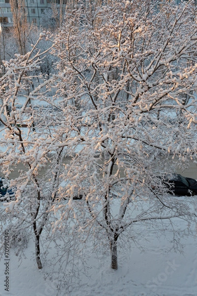 Obraz Fluffy snow on the trees