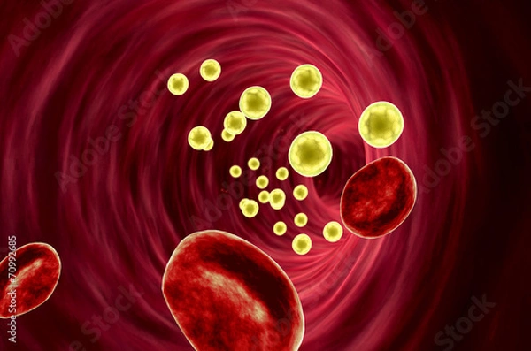 Fototapeta fat cell, erythrocyte