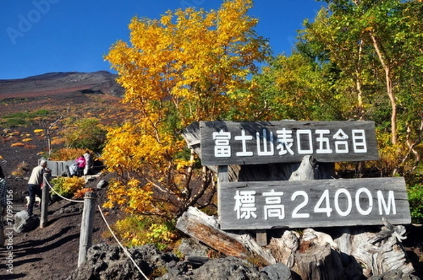 Obraz 富士山登山口