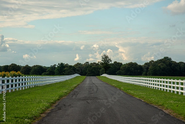 Obraz road in the field