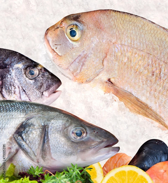 Obraz Seafood on market