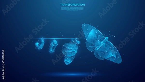 Fototapeta Koncepcja transformacji cyfrowej. Ilustracja ewolucji motyla symbolizująca koncepcję transformacji cyfrowej. projekt tła wektora w stylu niebieskim low poli.