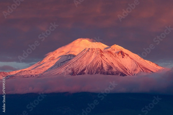 Obraz Mt Shasta with Alpenglow