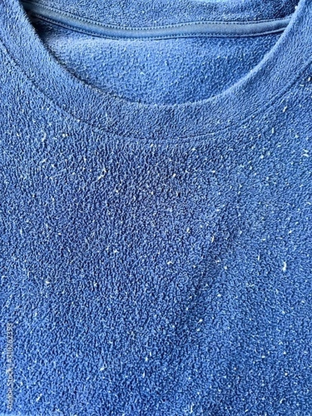 Obraz 衣類の毛玉