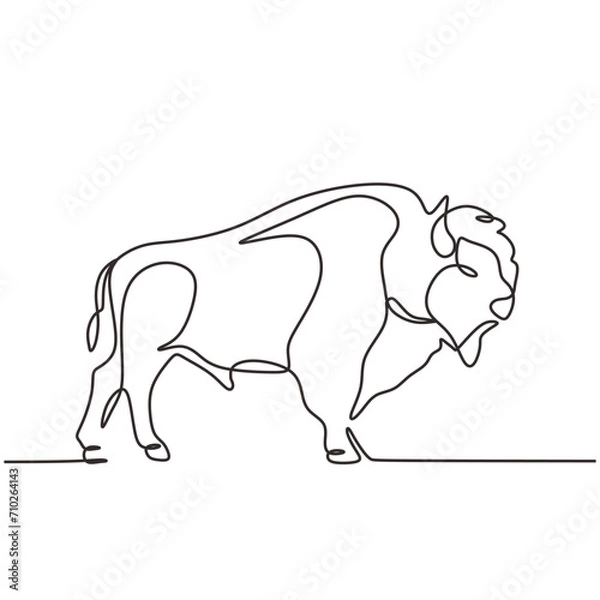 Fototapeta Continuous line drawing of American Bison. Buffalo animal standing. Wildlife concept. Vector illustration isolated. Minimalist design handdrawn.