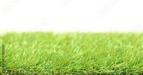 Obraz Square of green grass field white background