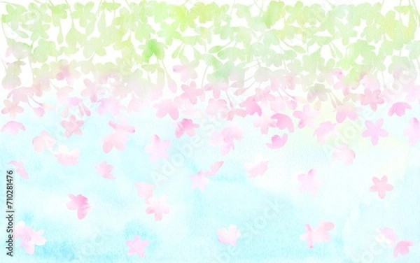 Fototapeta 青空のもと、満開の桜の花が咲き乱れる様子を表した水彩イラスト。