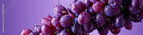 Fototapeta a fresh grape with a dewy surface on the air in a purple background for a banner, wine label, copy space