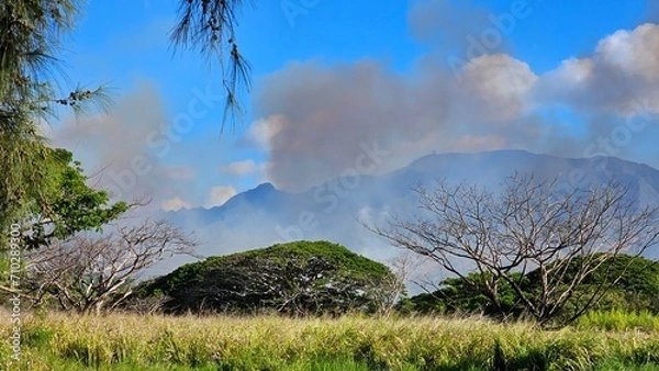 Obraz Wildlife climate