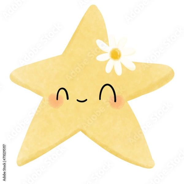 Obraz Smiley star with daisy flower