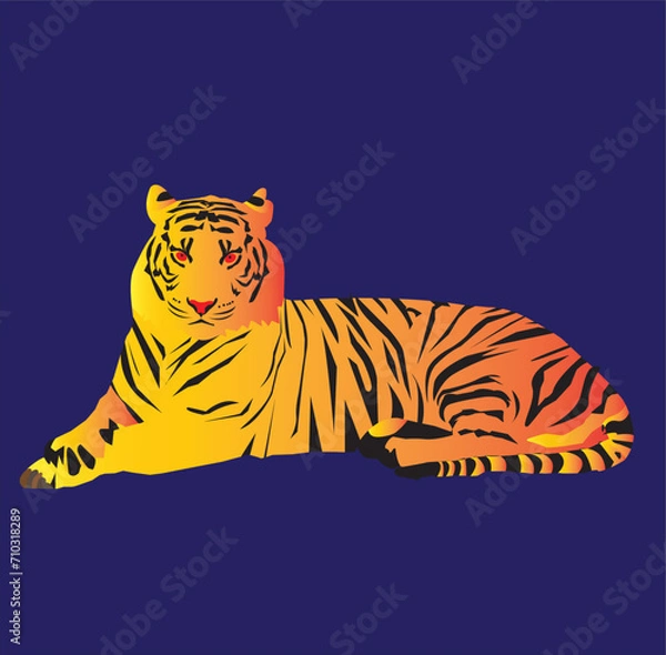 Obraz tiger on a white background
