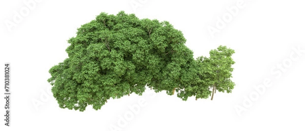 Obraz Green forest isolated on background. 3d rendering - illustration
