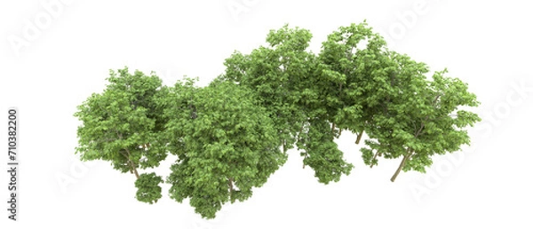 Fototapeta Green forest isolated on background. 3d rendering - illustration