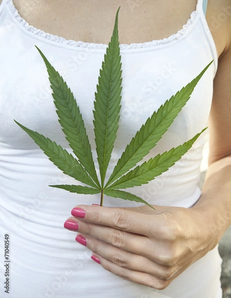 Obraz Holding Marijuana Leaf