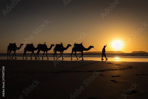 Fototapeta Silhouette of camel caravan on the beach with reflection at sunset in background. Essaouira, Morocco