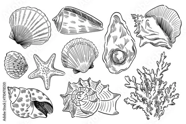 Fototapeta hand drawn doodle style seashell pattern 