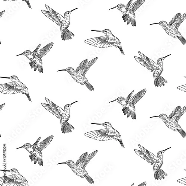 Fototapeta hand drawn doodle style pattern of colibri
