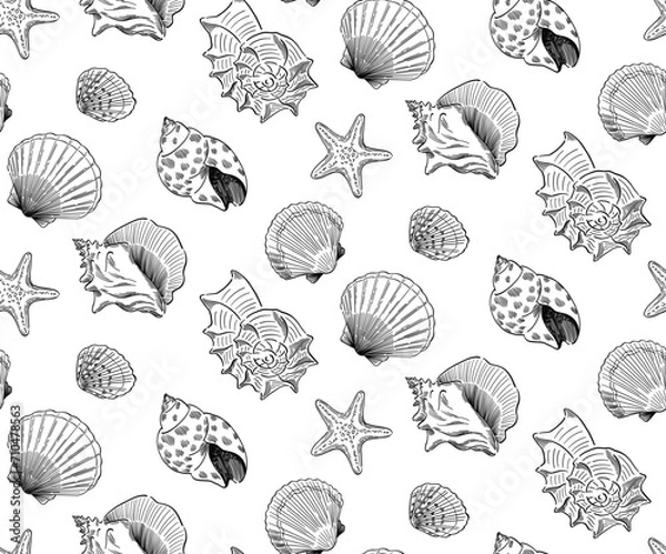 Fototapeta hand drawn doodle style seashell pattern 