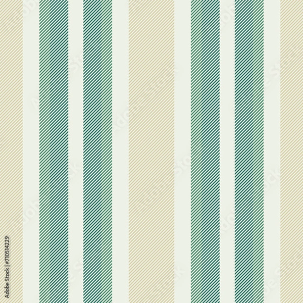 Fototapeta Stripe textile fabric of seamless background texture with a lines pattern vector vertical.