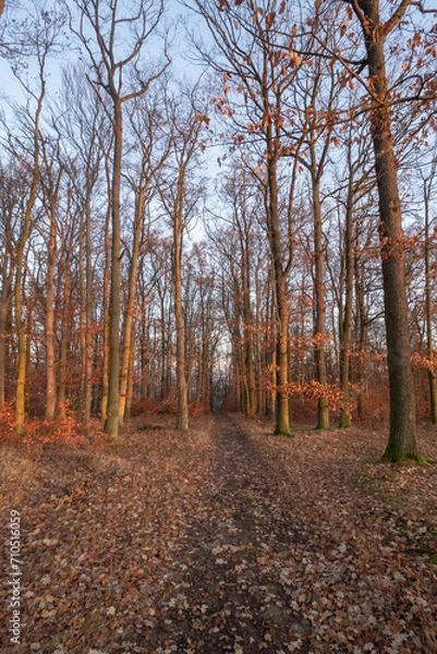 Obraz Landschaft im Herbst